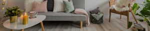 Find Your Dream Home